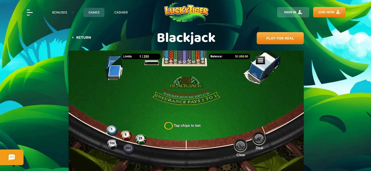 Blackjack Gameplay