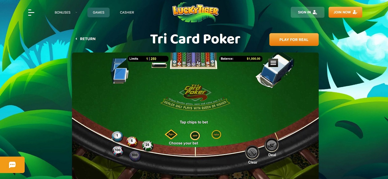 Table Poker Gameplay