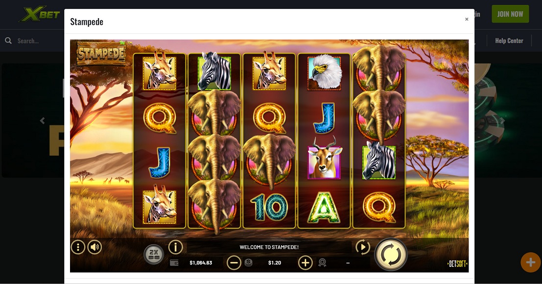 XBet Casino Slot Game Desktop- Stampede